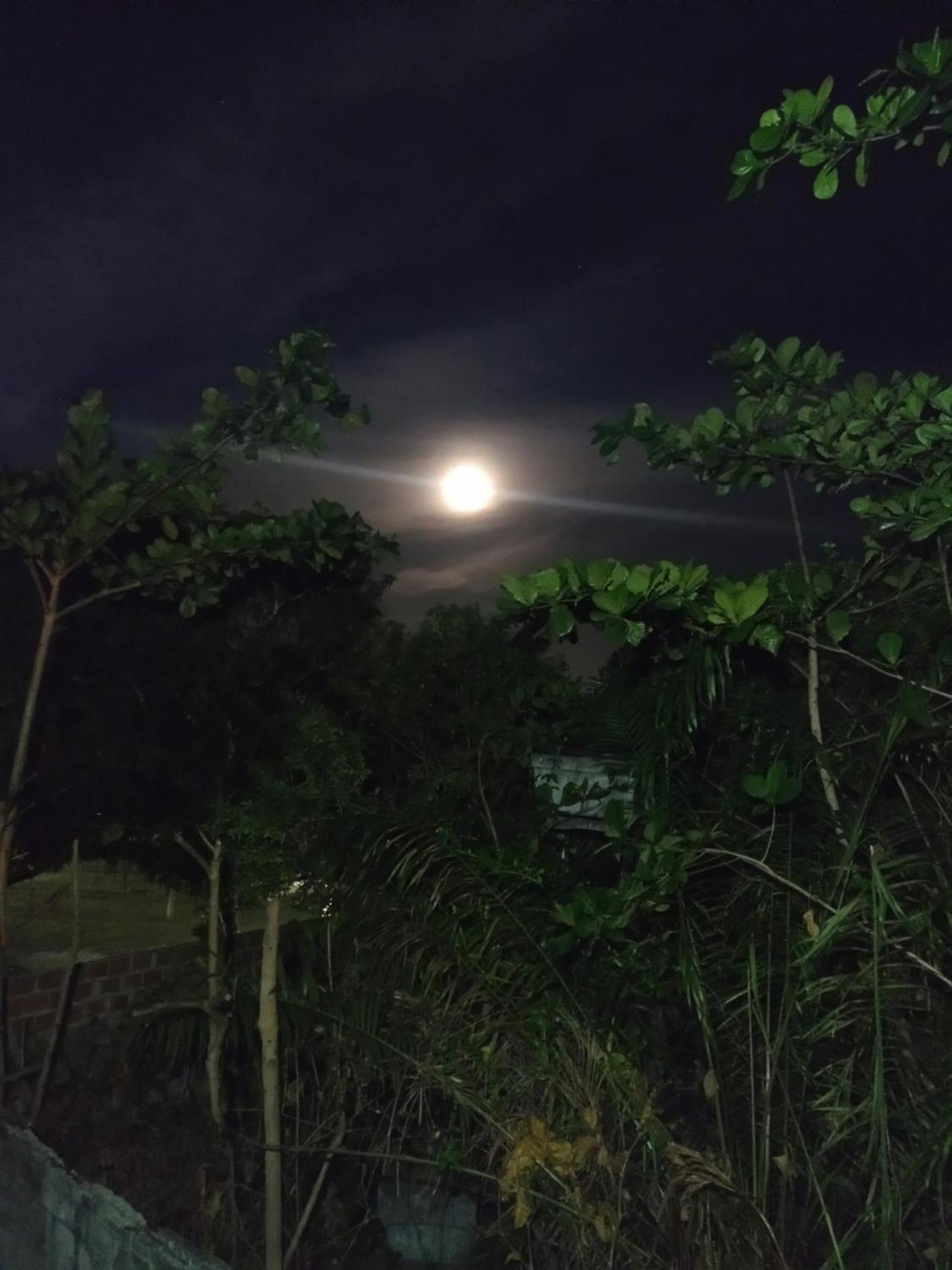 Casa Aroeira 招待所 Ilhéus
